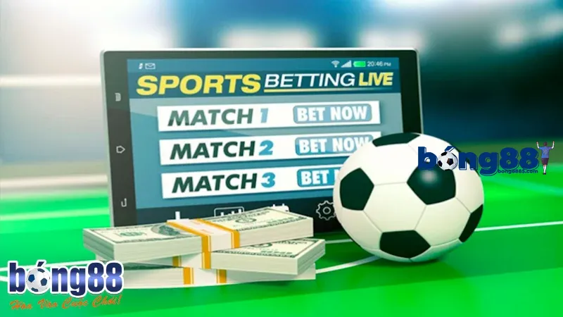 Đấu trường nhiều người theo dõi